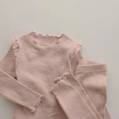 2022 New Arrival Spring Comfy Baby Unisex Home Wearing Sets Wholesale