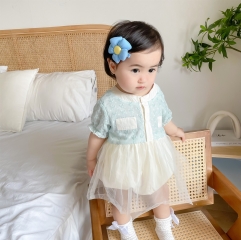 Baby Girl Embroidered Mesh Sweet Round-collar Dress Wholesale