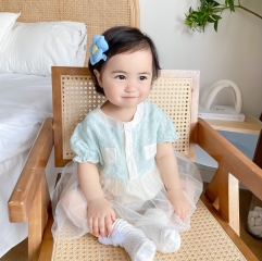 Baby Girl Embroidered Mesh Sweet Round-collar Dress Wholesale