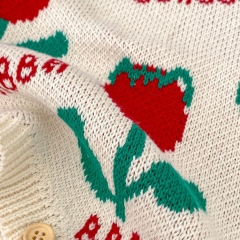 New Spring Infant Baby Girl Jacquard Knitting Long Sleeve One Piece Wholesale