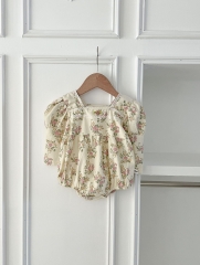 New Autumn Infant Baby Girls Jacquard Combo Laces  Long Sleeve One Piece&Dress Wholesale