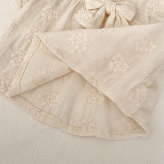 2024 New Summer Ins Infant Baby Girls Big Bowknot  Tops With Shorts Sets Wholesale