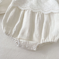Infant Baby Girls Solid Color Long Sleeve Flowers and Butterfly Pattern One Piece Bodysuit Onesies in Autumn Wholesale