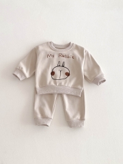 Spring Infant Baby Kids Cartoon Rabbit Pattern Long Sleeves Casual Top + Pants Simple Sets Wholesale
