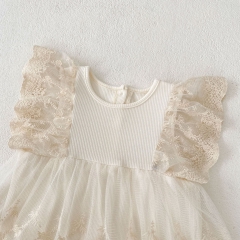 2025 Summer Infant Baby Kids Girls Lace Embroidery Floral Pattern Fly Sleeves Dress Wholesale