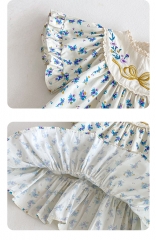 2025 Summer Infant Baby Kids Girls Short Sleeves Butterfly-bow Embroidered Pattern Floral Dress Wholesale