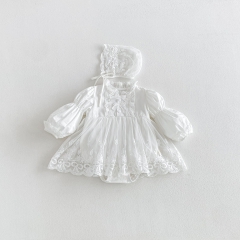 Spring and Autumn Infant Baby Girls Solid Color Long Sleeves One Piece Embroidered Tulle Onesies Dress Wholesale